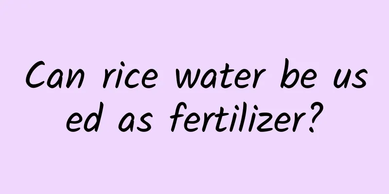 Can rice water be used as fertilizer?
