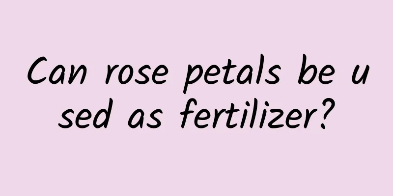 Can rose petals be used as fertilizer?