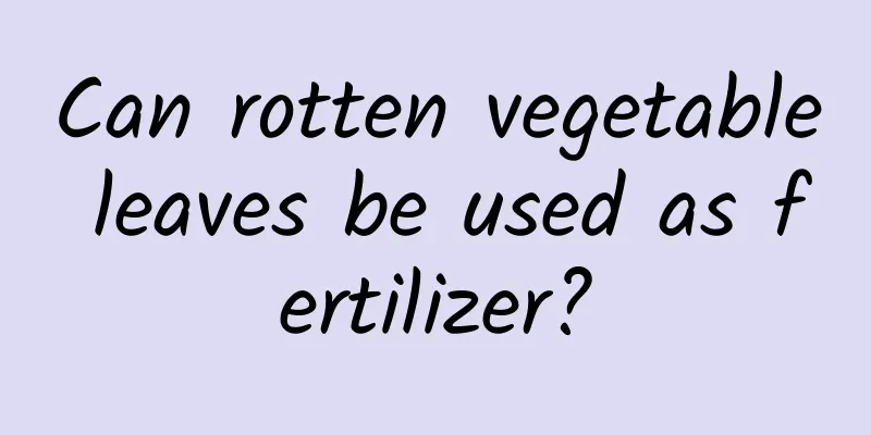 Can rotten vegetable leaves be used as fertilizer?