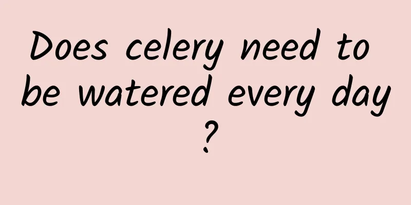 Does celery need to be watered every day?