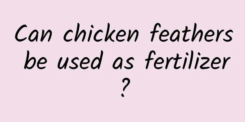 Can chicken feathers be used as fertilizer?