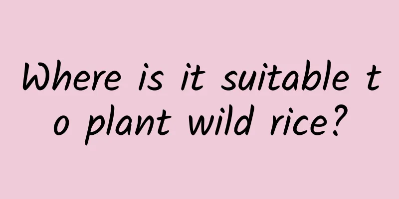Where is it suitable to plant wild rice?