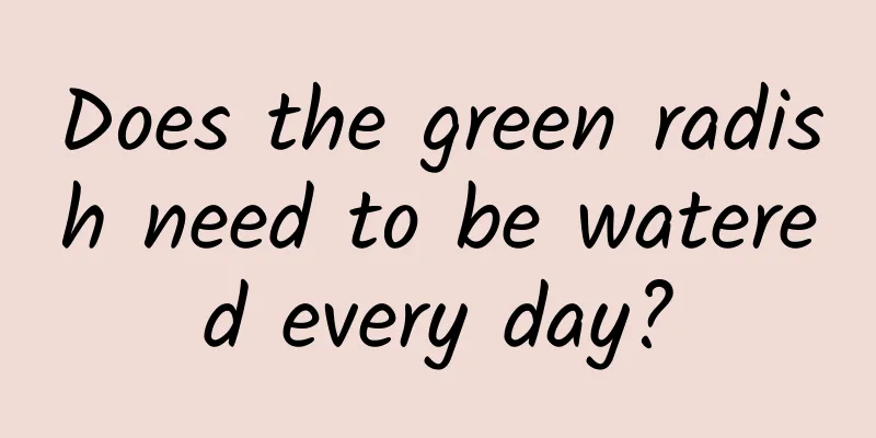 Does the green radish need to be watered every day?