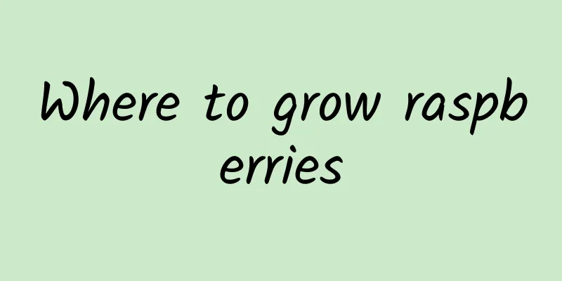 Where to grow raspberries