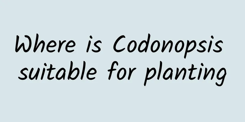 Where is Codonopsis suitable for planting