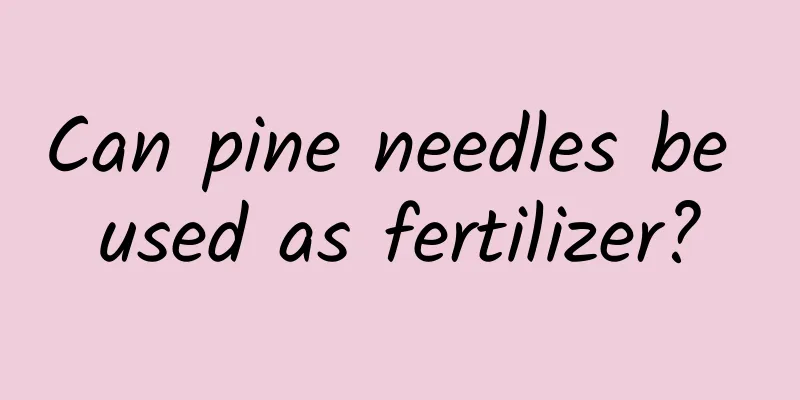Can pine needles be used as fertilizer?