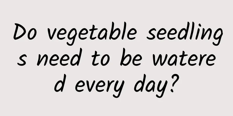 Do vegetable seedlings need to be watered every day?