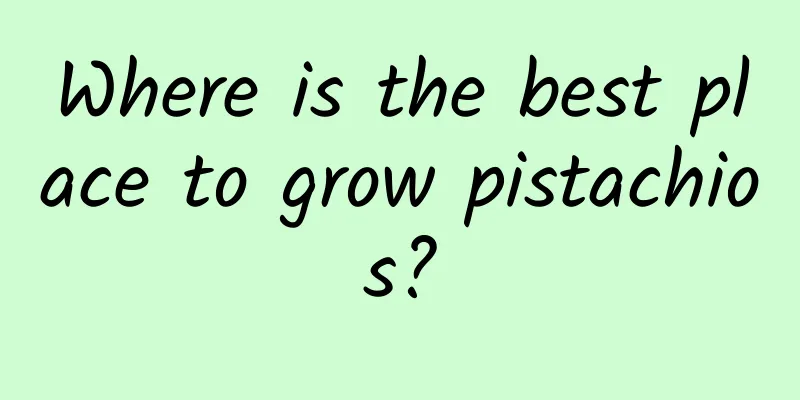 Where is the best place to grow pistachios?
