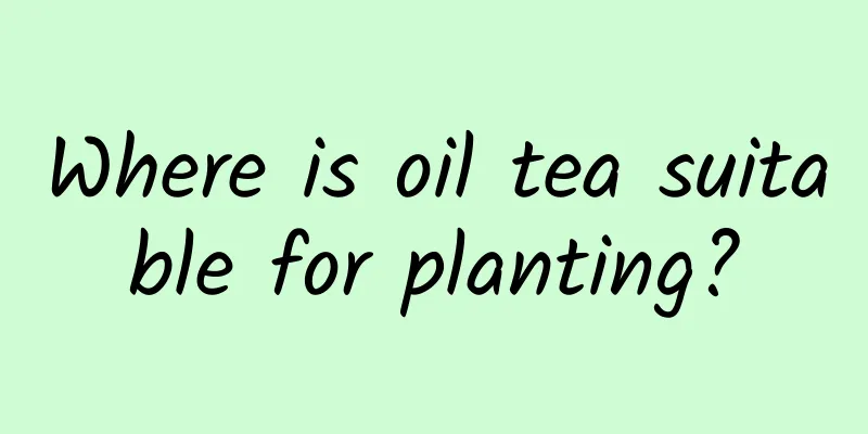 Where is oil tea suitable for planting?
