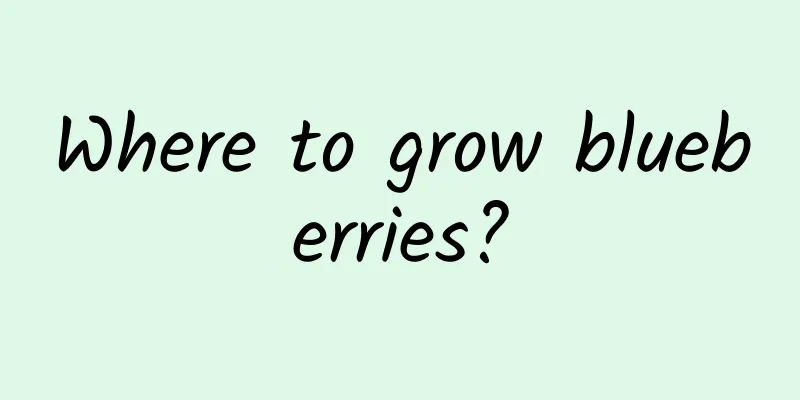 Where to grow blueberries?