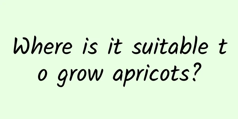 Where is it suitable to grow apricots?