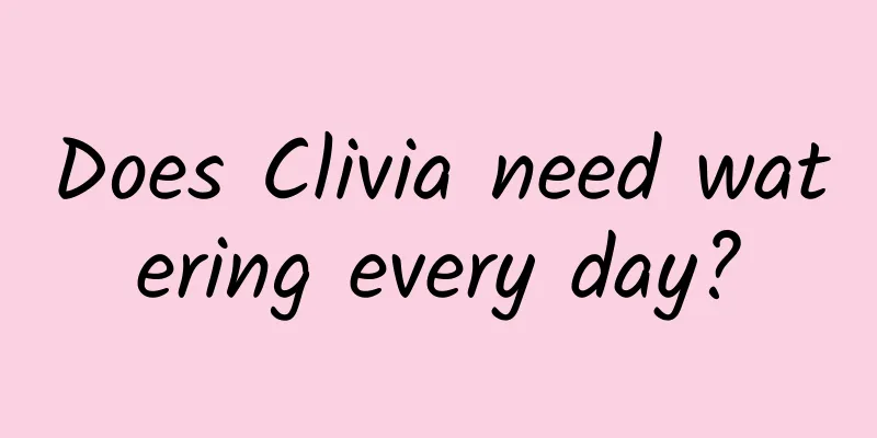 Does Clivia need watering every day?