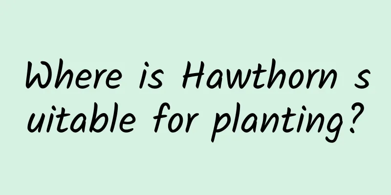 Where is Hawthorn suitable for planting?