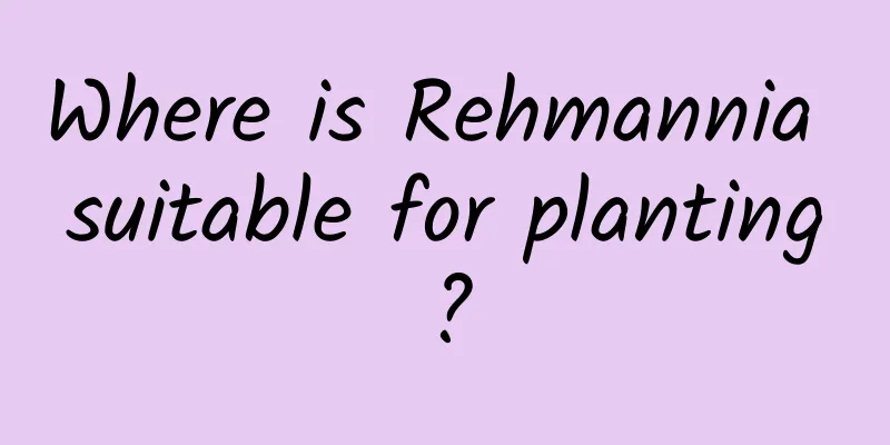 Where is Rehmannia suitable for planting?