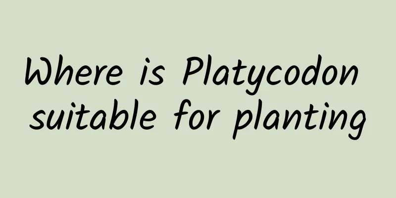 Where is Platycodon suitable for planting