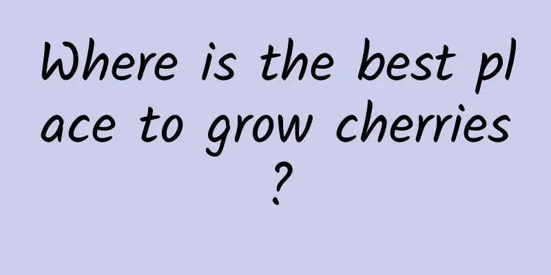 Where is the best place to grow cherries?