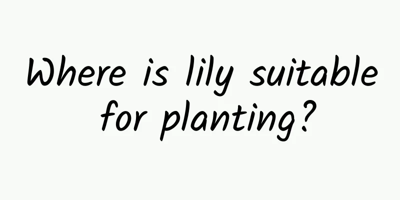 Where is lily suitable for planting?