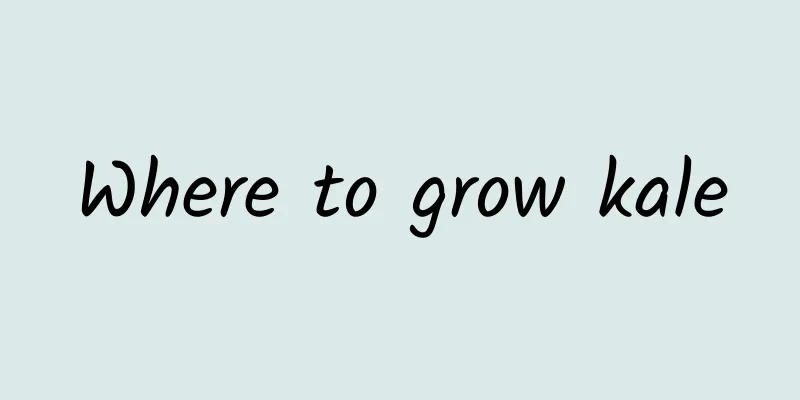 Where to grow kale