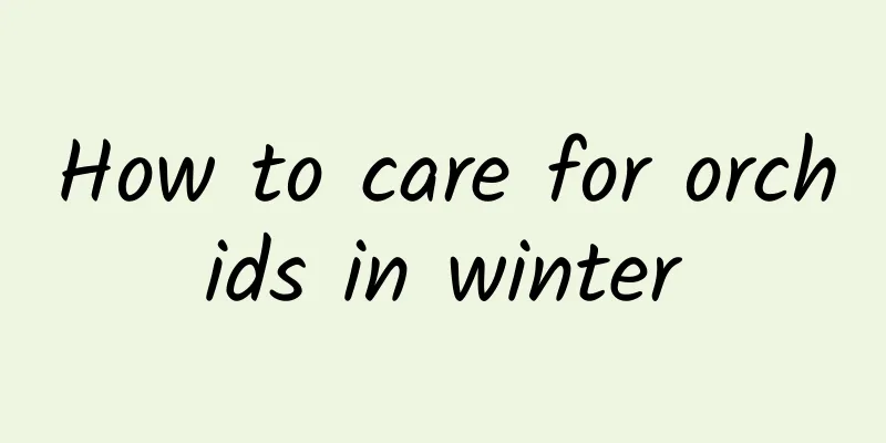 How to care for orchids in winter