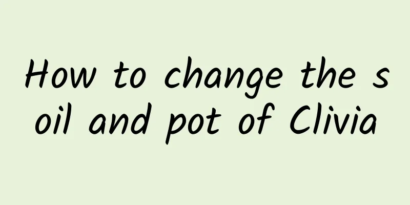 How to change the soil and pot of Clivia
