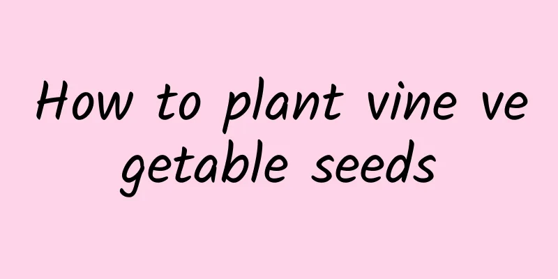 How to plant vine vegetable seeds