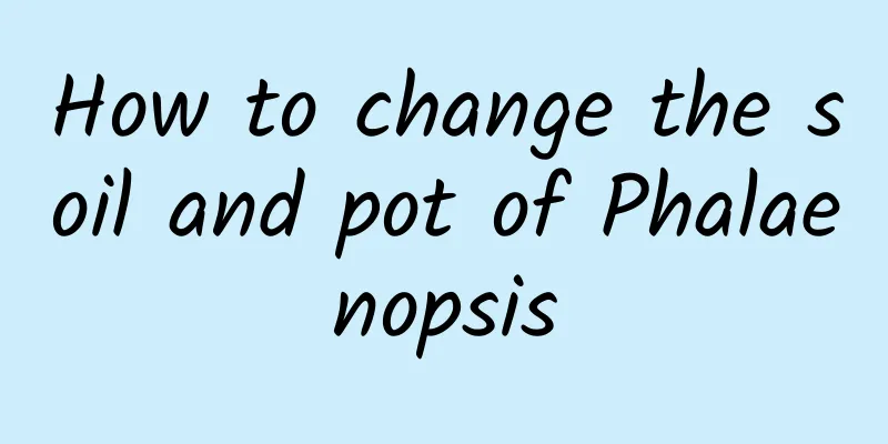 How to change the soil and pot of Phalaenopsis