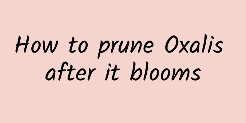 How to prune Oxalis after it blooms