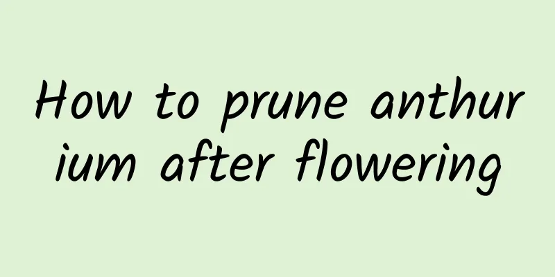 How to prune anthurium after flowering