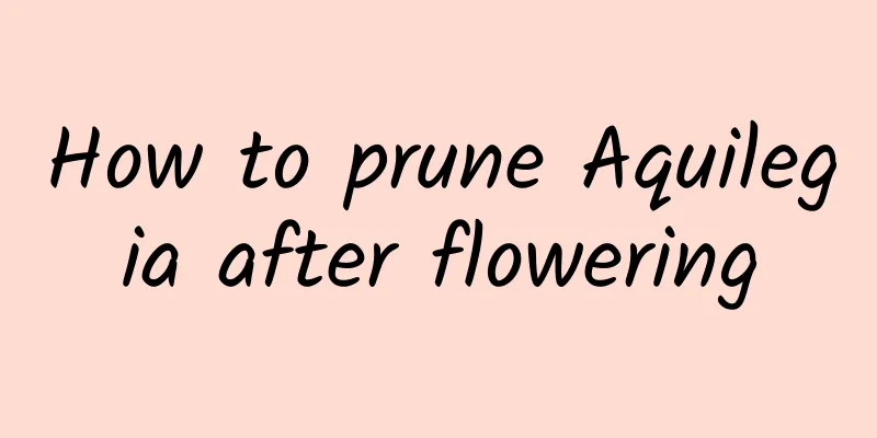 How to prune Aquilegia after flowering