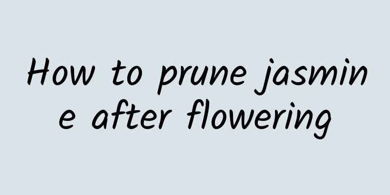 How to prune jasmine after flowering