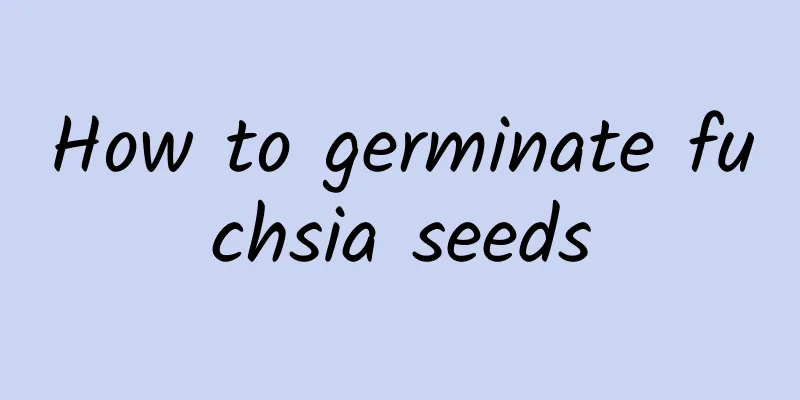 How to germinate fuchsia seeds