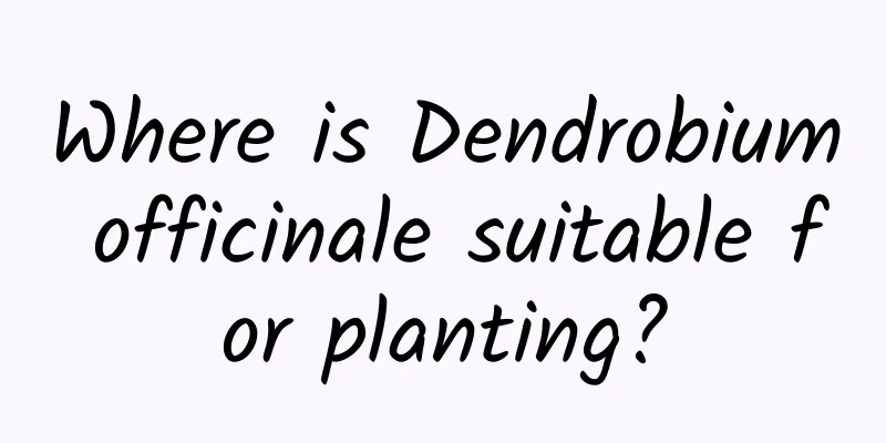 Where is Dendrobium officinale suitable for planting?