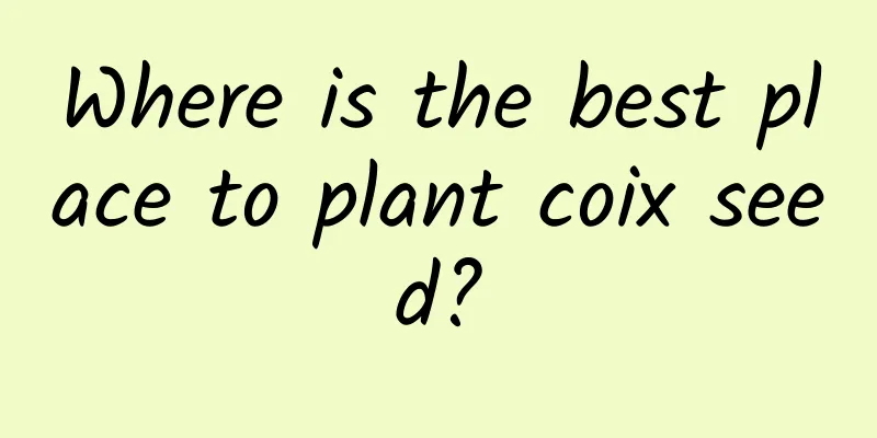 Where is the best place to plant coix seed?