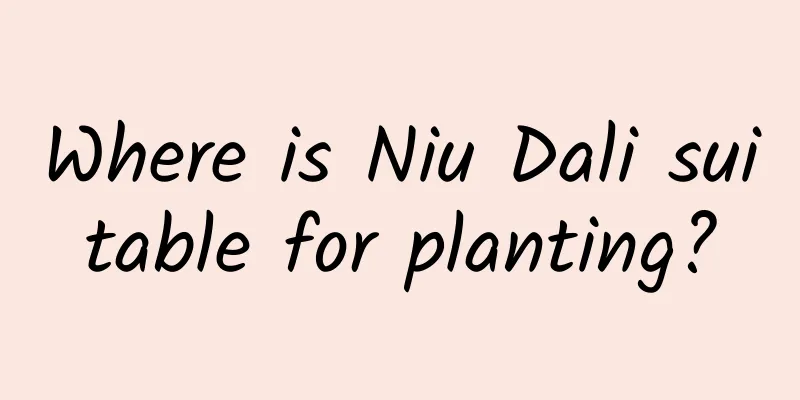 Where is Niu Dali suitable for planting?