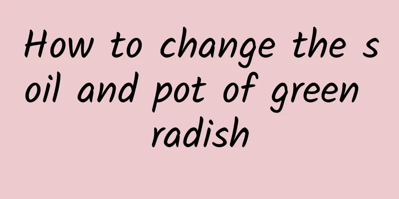 How to change the soil and pot of green radish
