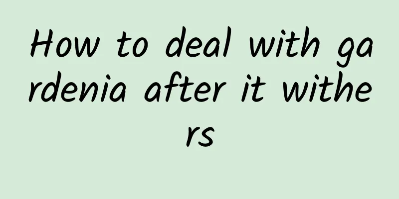 How to deal with gardenia after it withers