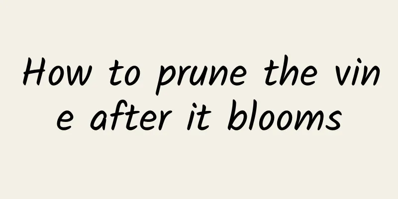 How to prune the vine after it blooms