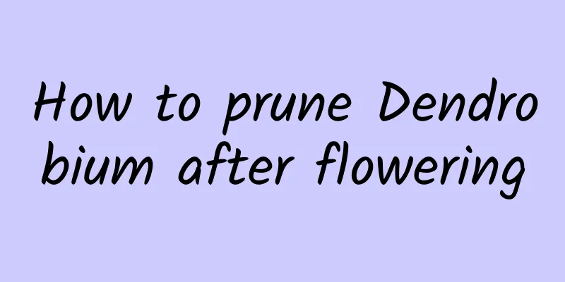 How to prune Dendrobium after flowering