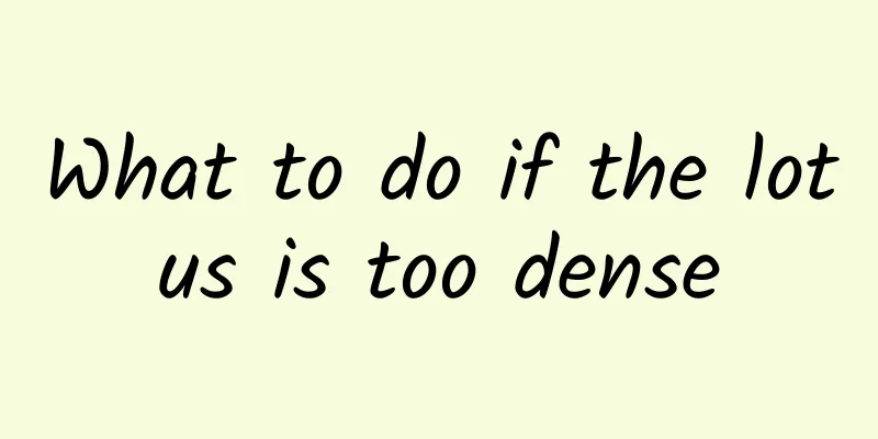 What to do if the lotus is too dense