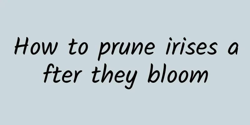 How to prune irises after they bloom