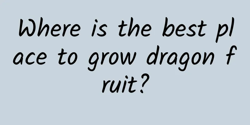 Where is the best place to grow dragon fruit?