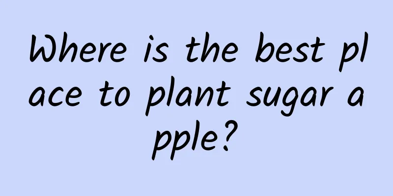 Where is the best place to plant sugar apple?