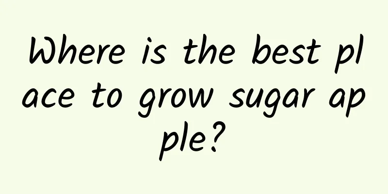 Where is the best place to grow sugar apple?