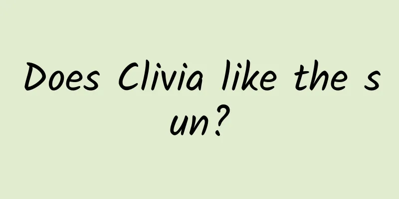 Does Clivia like the sun?