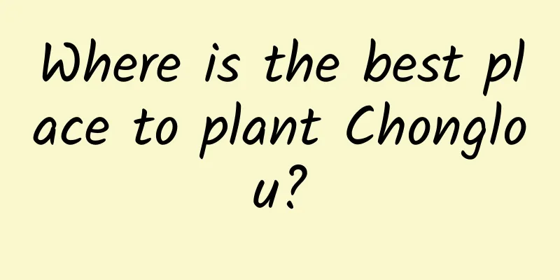 Where is the best place to plant Chonglou?