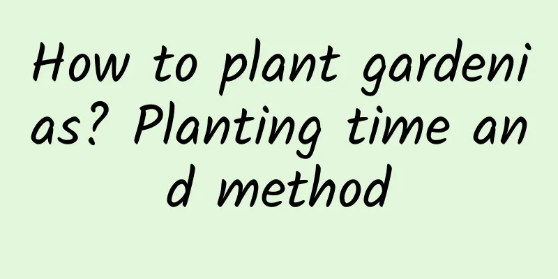 How to plant gardenias? Planting time and method