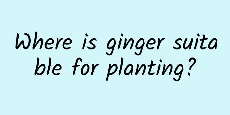 Where is ginger suitable for planting?