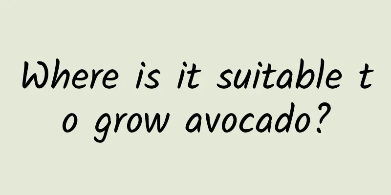Where is it suitable to grow avocado?