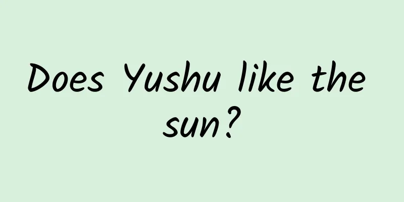 Does Yushu like the sun?