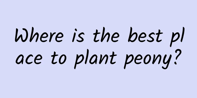 Where is the best place to plant peony?
